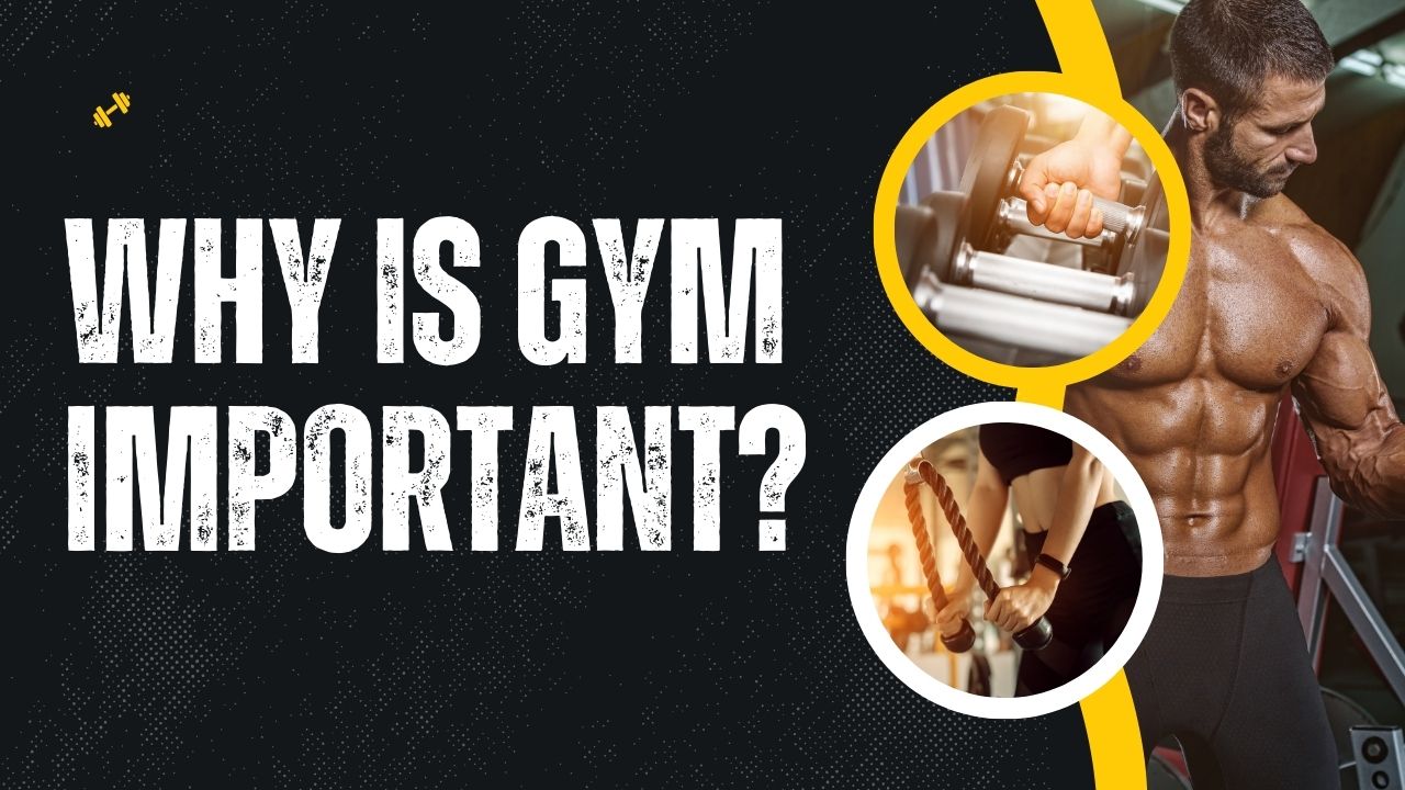 You are currently viewing Why is gym important?