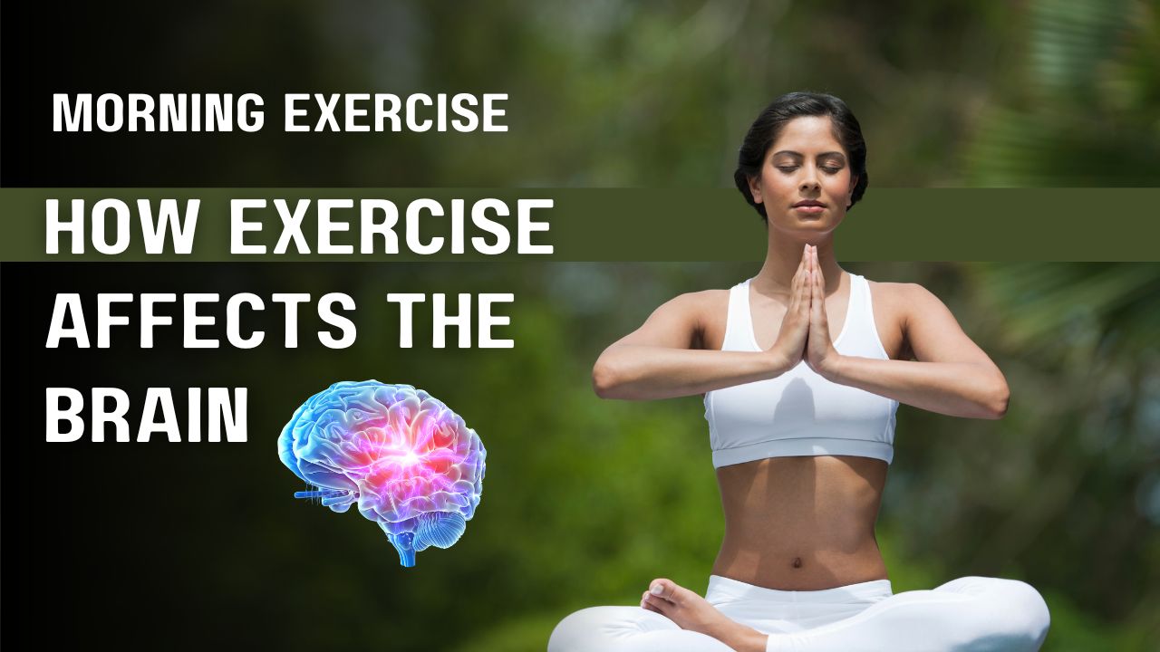 Read more about the article How Exercise Affects The Brain