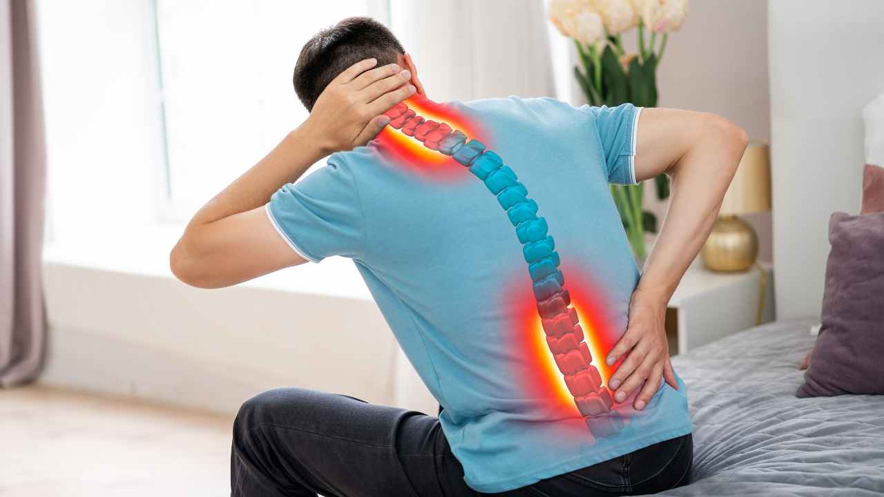 Read more about the article Best Exercise Equipment for Back Pain 2024