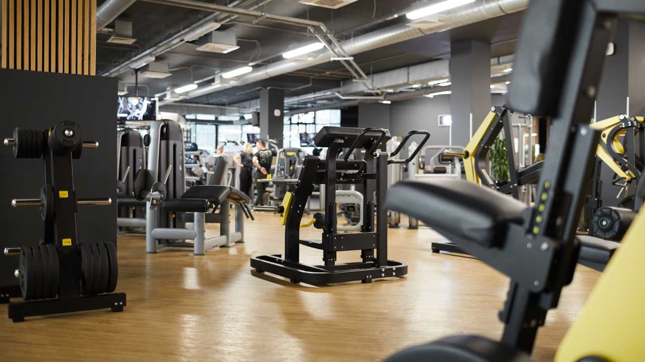 Read more about the article Which gym equipment is best for a full-body workout? 2024