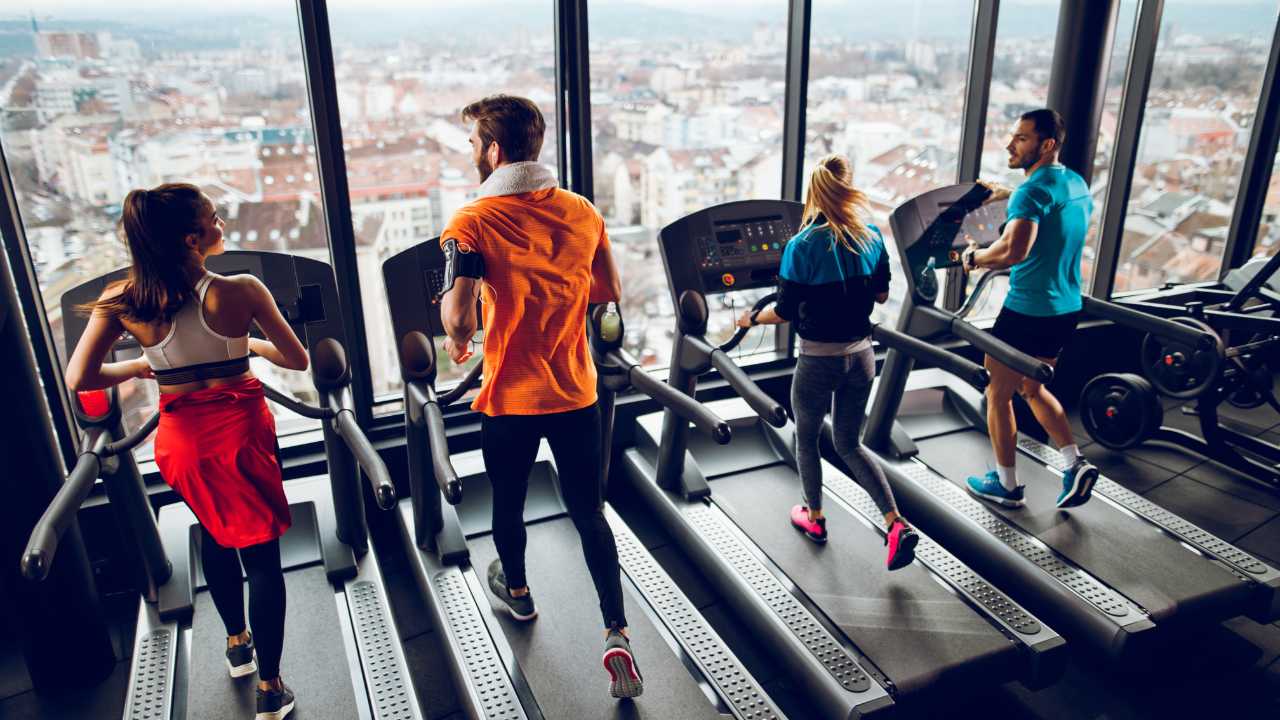 Read more about the article What Are Some Alternatives to a Treadmill? 2024